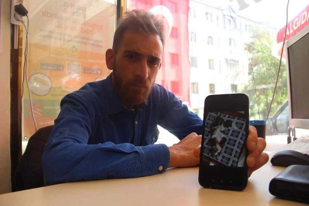 Hasta yavru kediyi poşete koyup çaldılar